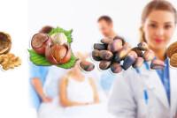 Орехи повышают давление или понижают