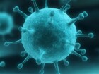 Диета при гриппе: какие продукты помогут, а какие навредят здоровью