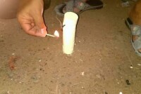 Защита урожая от вредителей: природные методы для вашего погреба