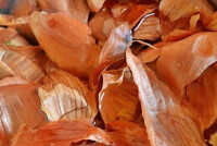 Лечение гипертонии луковой шелухой: народные рецепты