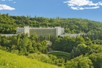 Санатории Кисловодска по лечению органов дыхания