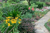 Цветы для дома: как выбрать растения, приносящие удачу и спокойствие