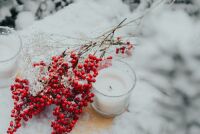 Праздник и здоровье: как отметить именины с пользой для сердечно-сосудистой системы