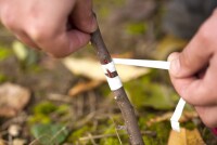 Как повысить давление: простые советы и народные средства