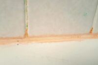 Розовый налет в ванной: скрытая угроза для вашего здоровья и как ее избежать