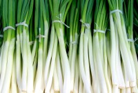 Здоровье на подоконнике: как вырастить полезную зелень для снижения давления