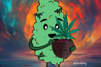 Канабіс та Гіпертонія: Як канабіс впливає на тиск?