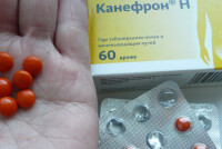 Препарат Канефрон: повышает или понижает давление?