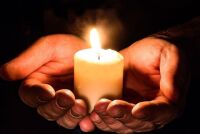 13 декабря: Особенности ухода за домашними животными и их влияние на здоровье