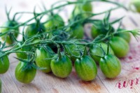 Овощи и фрукты для гипертоников: когда собирать урожай для здоровья