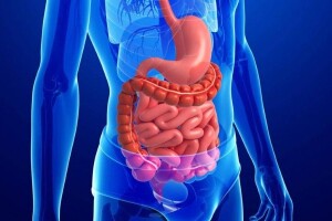 Здоровье кишечника и давление: народные методы улучшения самочувствия