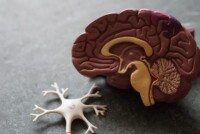 Эффективные препараты при черепно-мозговых травмах: обзор Мексидола и рекомендаций