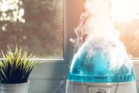 Увлажнитель воздуха — как выбрать?