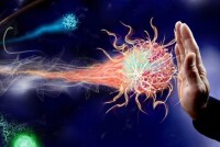 Признаки ослабленного иммунитета и как его укрепить