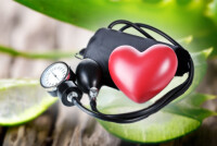 Алоэ при гипертонии: отзывы и рецепты