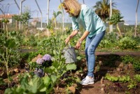 Повышенное давление: домашние средства для снижения.