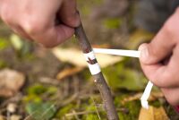 Как повысить давление: простые советы и народные средства