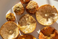 Сушеные мухоморы: особенности и применение