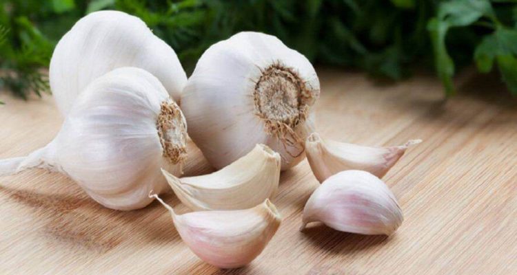 Чеснок и метаболизм: как он влияет на обмен веществ при повышенном давлении