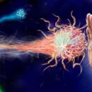 Признаки ослабленного иммунитета и как его укрепить