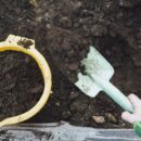 Сезонные посевы: когда и как сажать для здоровья