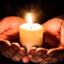 13 декабря: Особенности ухода за домашними животными и их влияние на здоровье