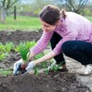 7 советов для легкой работы в огороде при высоком давлении