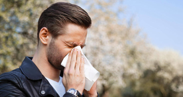 Продукты, которые стоит исключить при насморке: что нужно знать для здоровья