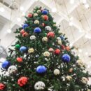 Пышная елка: секреты, о которых вы не знали, для вашего дома