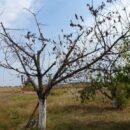 7 ошибок, которые вредят вашему здоровью (даже если вы не связаны с садоводством)