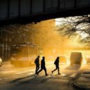Как уличная пыль влияет на ваше давление: тест и профилактика