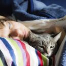 Скрытые угрозы в вашей постели: как обезопасить себя от невидимых опасностей