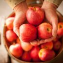 Как безопасно снизить вес при повышенном давлении: народные методы