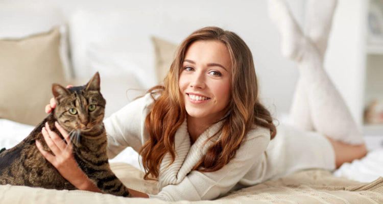кота, завести кота, влияние на здоровье
