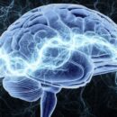 Как улучшить память: 5 простых советов для здоровья мозга