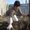 Осенняя посадка: какие растения категорически нельзя высаживать, чтобы не потерять урожай